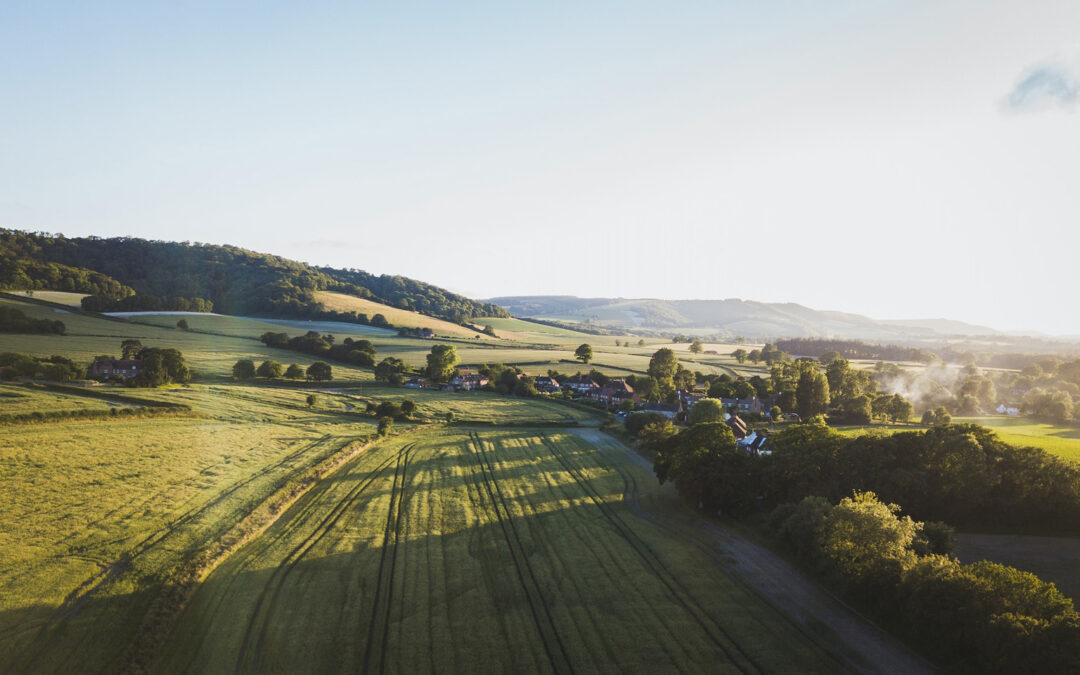 talk series event with James Sainsbury & Dr Tony Whitbread on 1st May 2025 at The Old Workshop, Sullington Manor Farm, West Sussex, RH20 4AE. Set in the heart of South Downs in beautiful countryside. Talks about nature & farming.