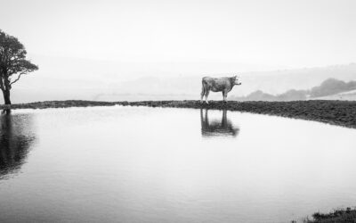 Photography Exhibition