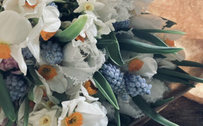 Fresh Bouquets from the courtyard